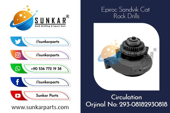 Cat Circulation 293-081882930818