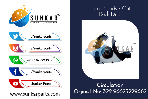 Cat Circulation 322-96623229662